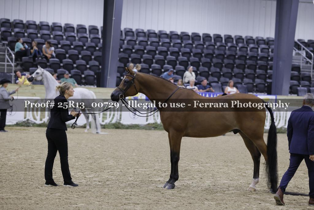 Proof 25R13_00729