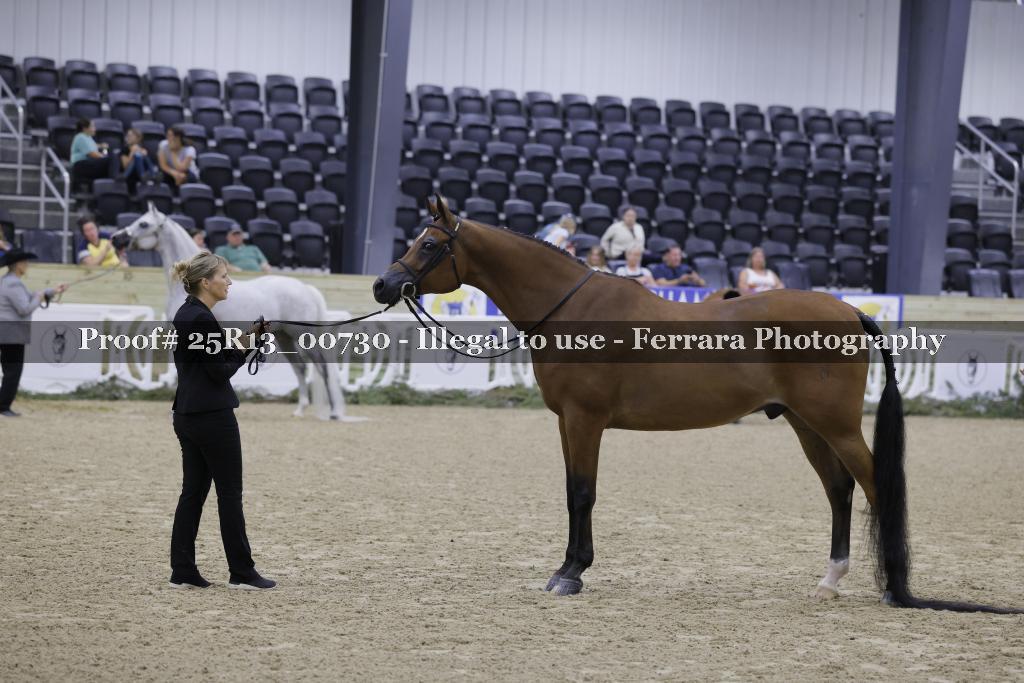 Proof 25R13_00730