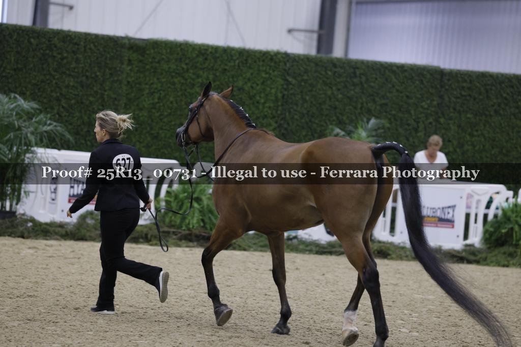 Proof 25R13_00731