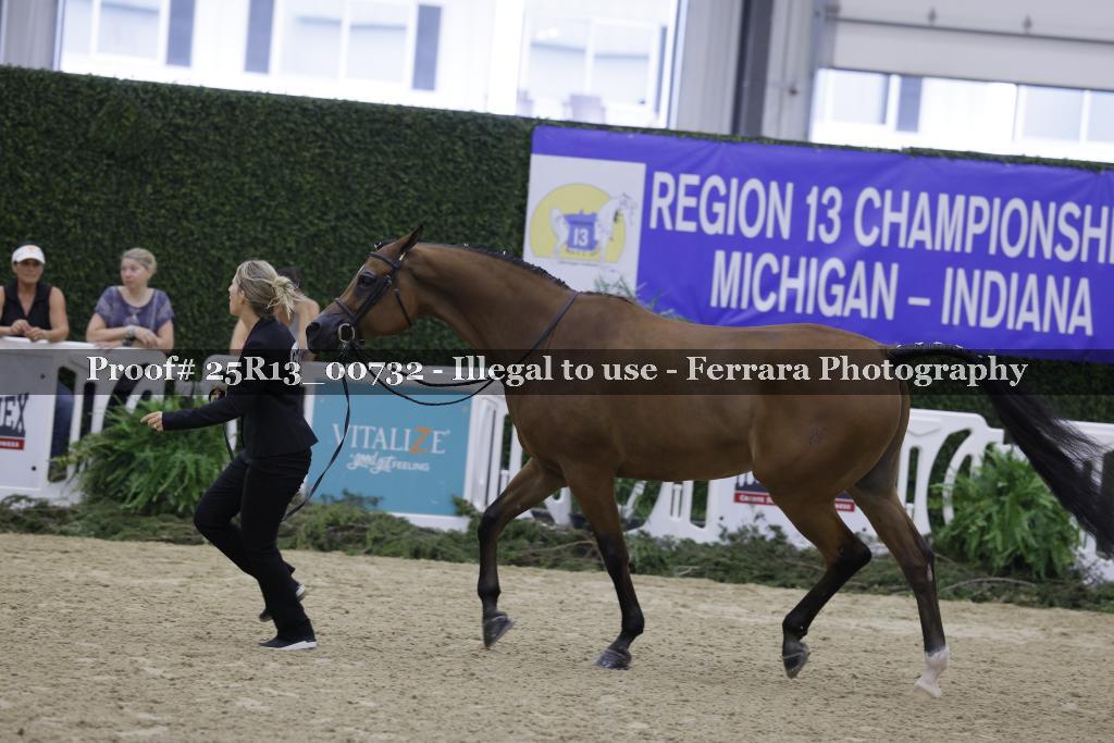 Proof 25R13_00732