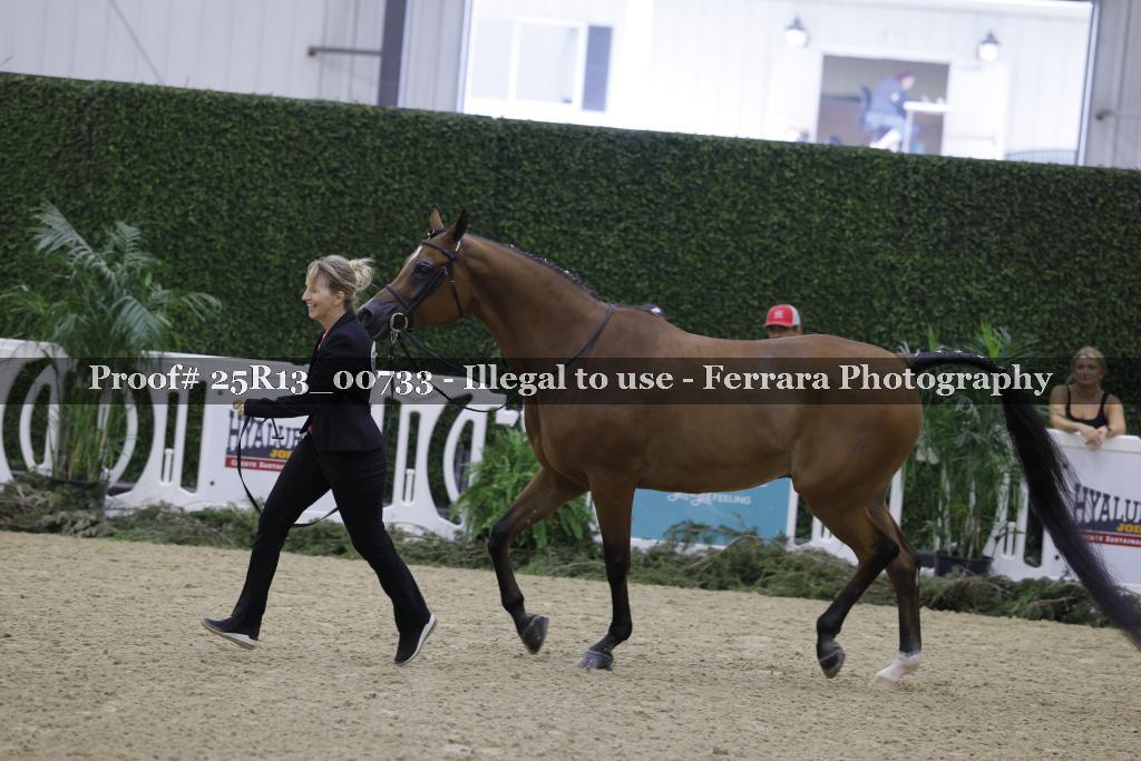 Proof 25R13_00733