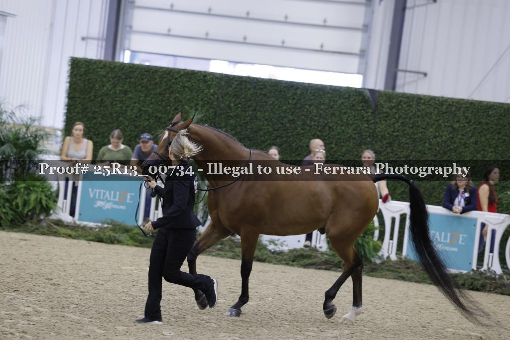 Proof 25R13_00734