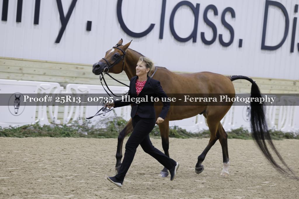 Proof 25R13_00735