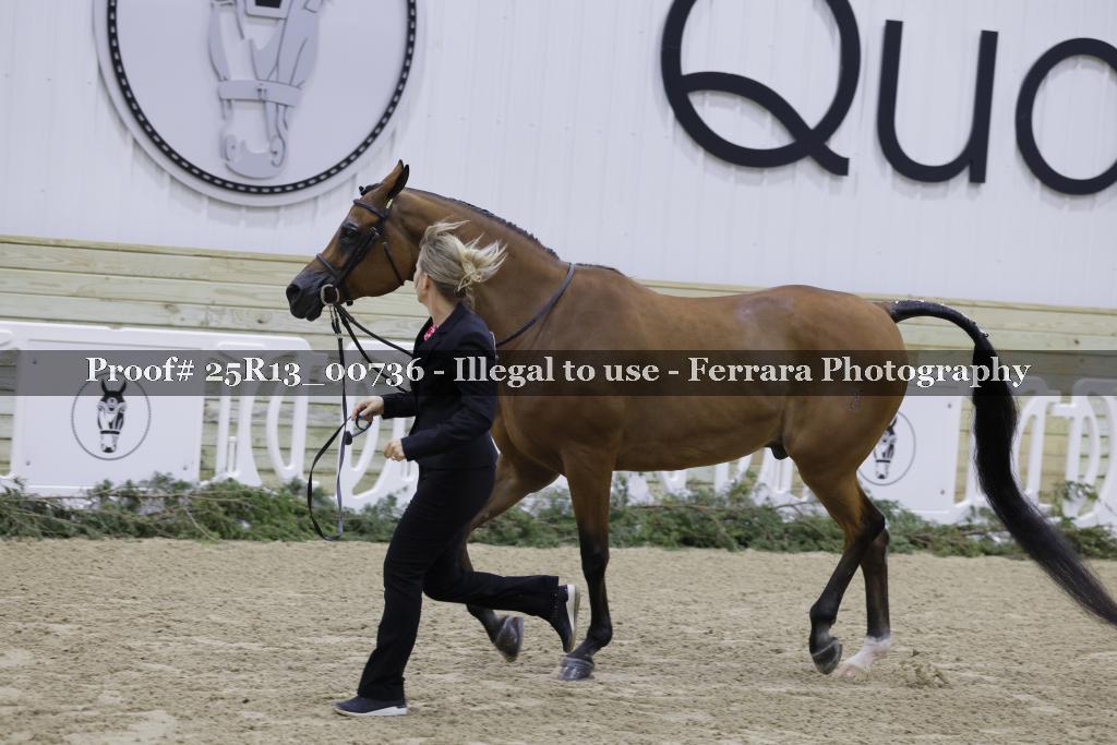 Proof 25R13_00736