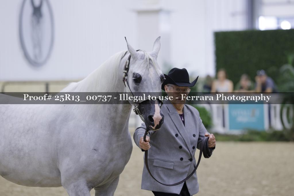 Proof 25R13_00737