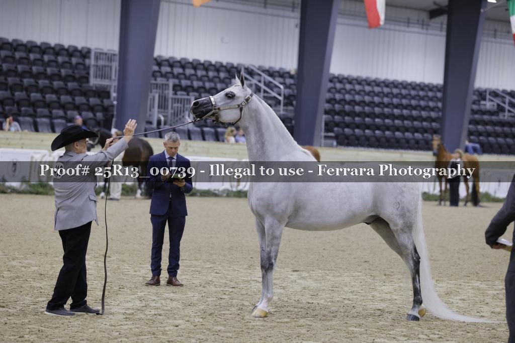 Proof 25R13_00739
