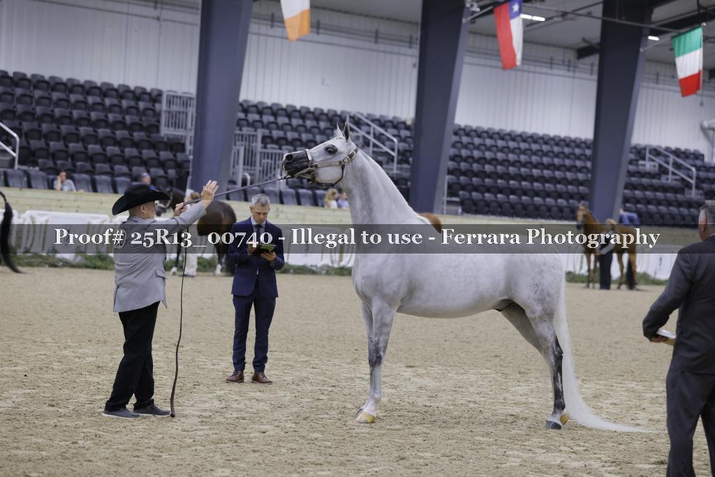 Proof 25R13_00740