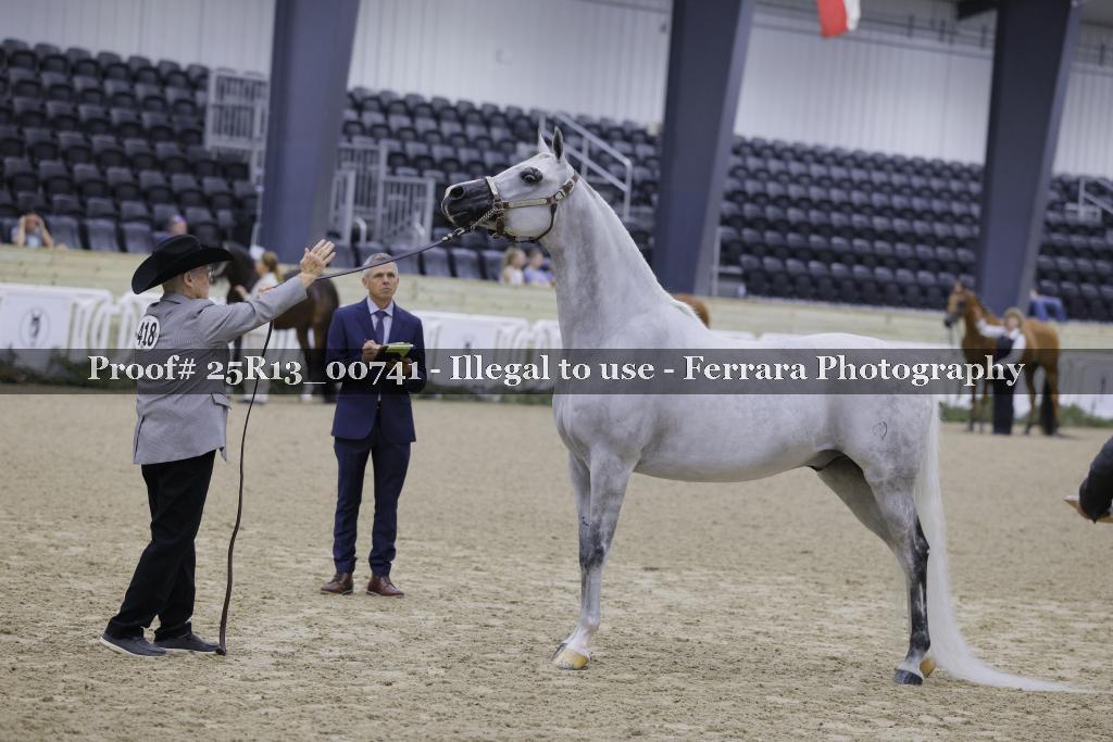 Proof 25R13_00741