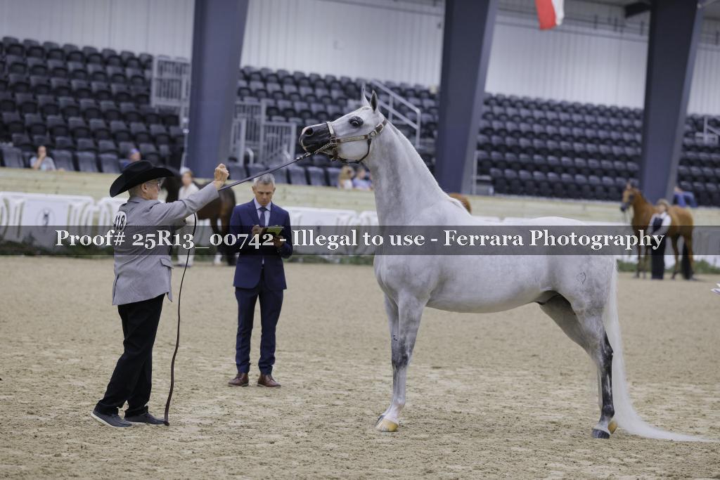 Proof 25R13_00742