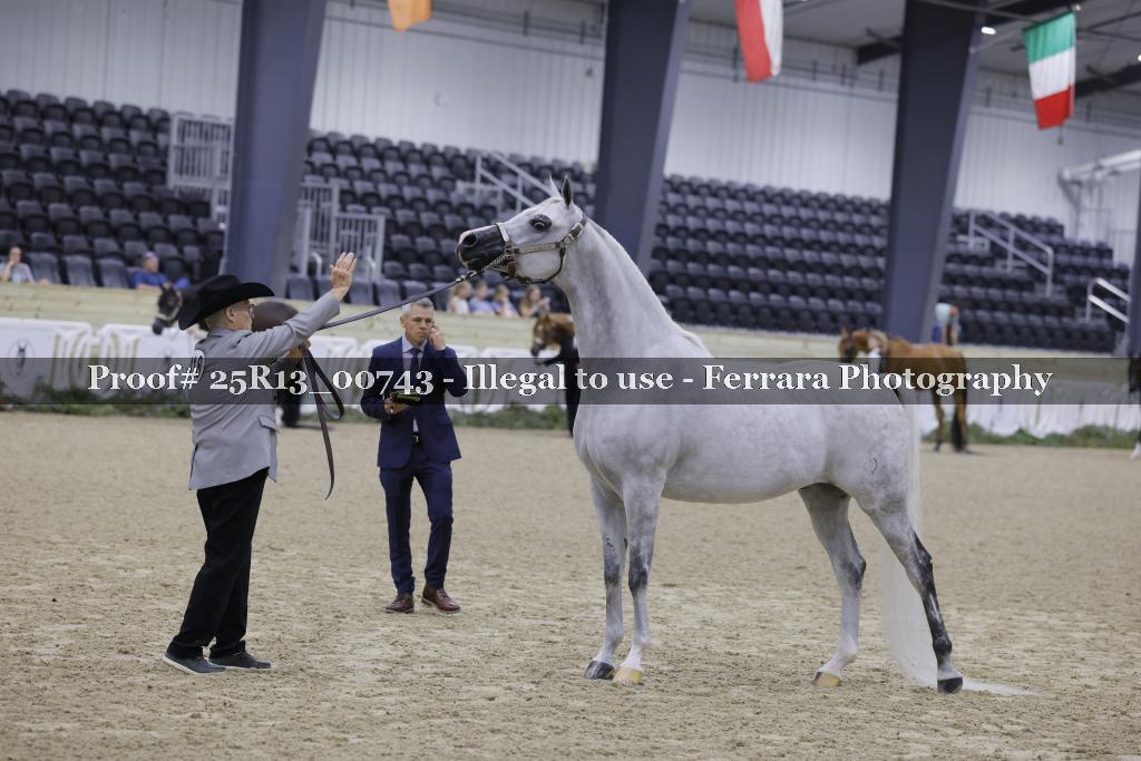 Proof 25R13_00743
