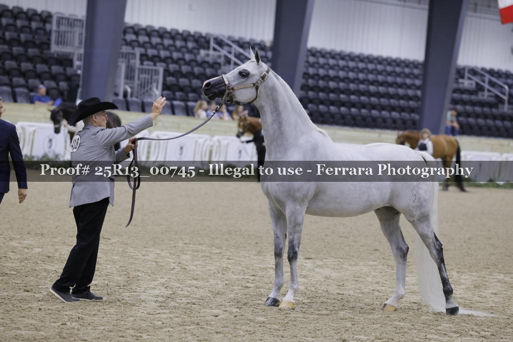 Proof 25R13_00745