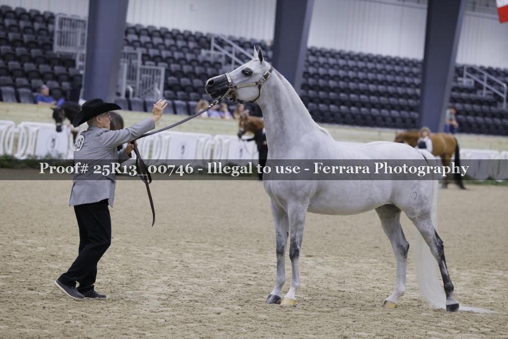 Proof 25R13_00746