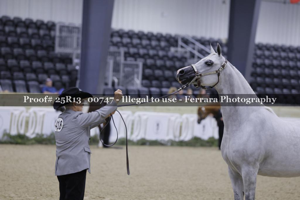 Proof 25R13_00747