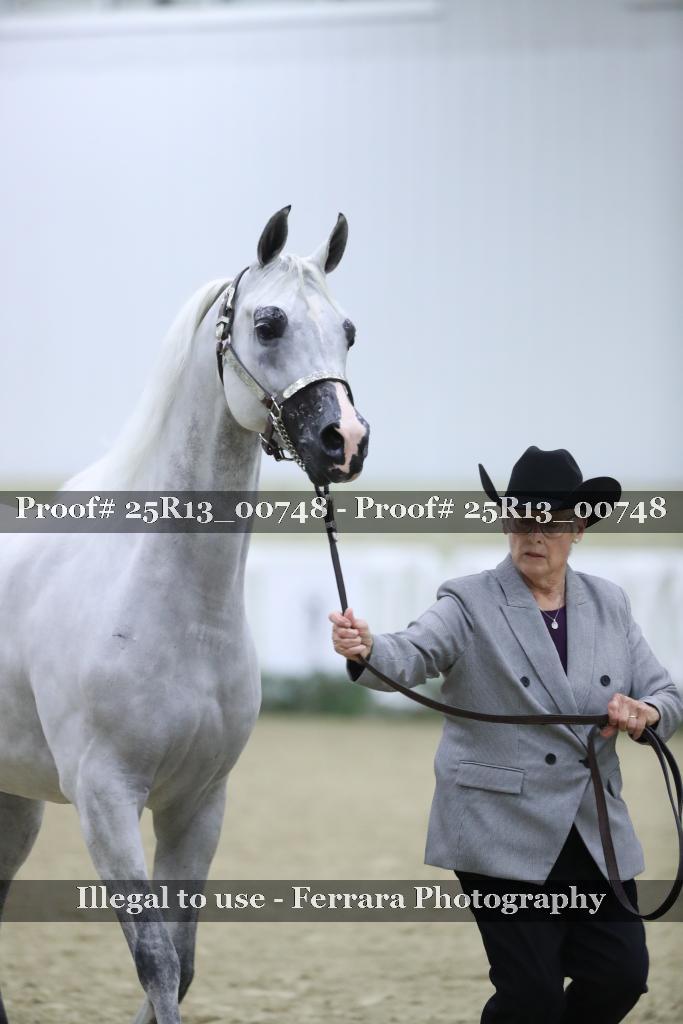 Proof 25R13_00748