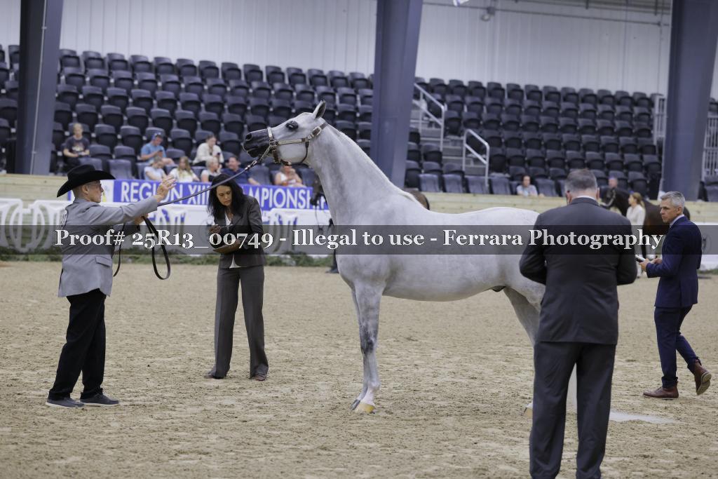 Proof 25R13_00749