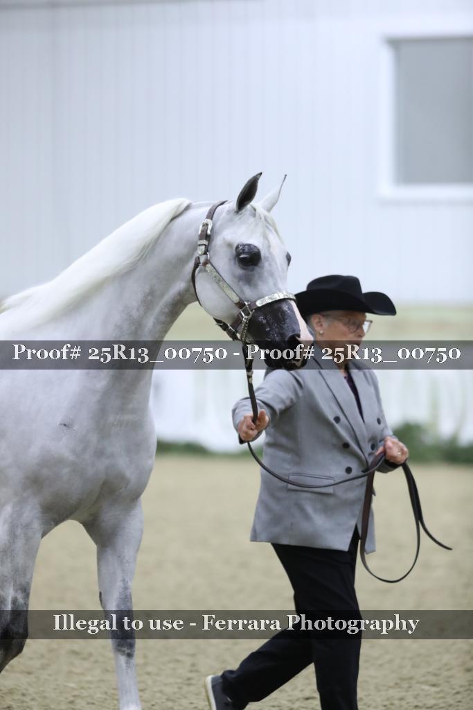 Proof 25R13_00750