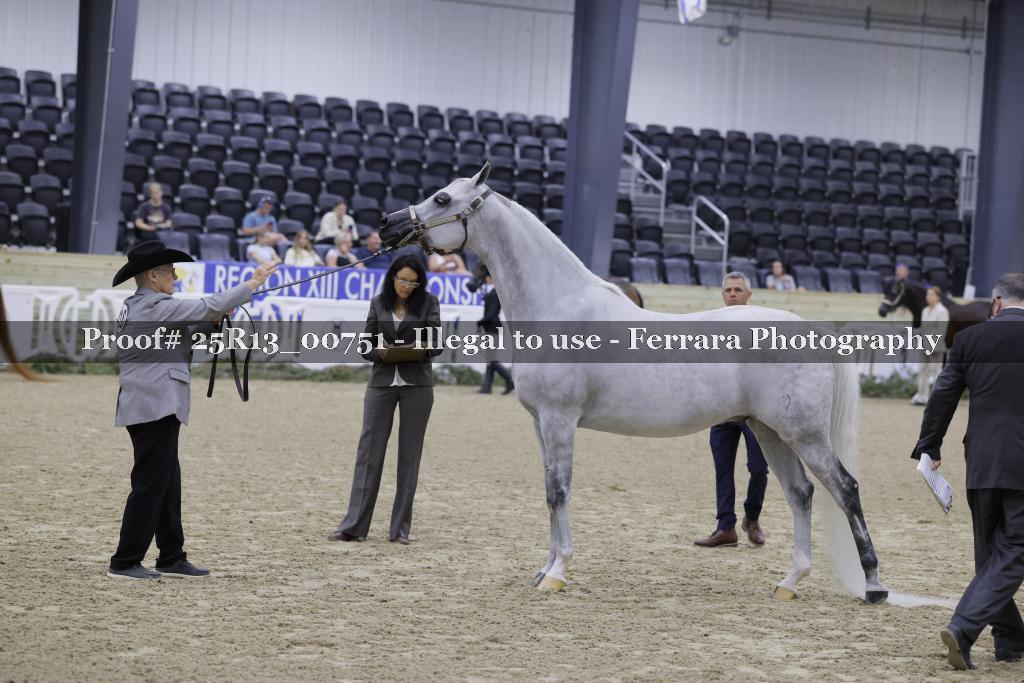 Proof 25R13_00751