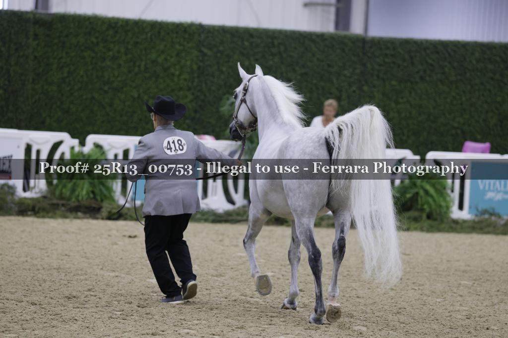 Proof 25R13_00753