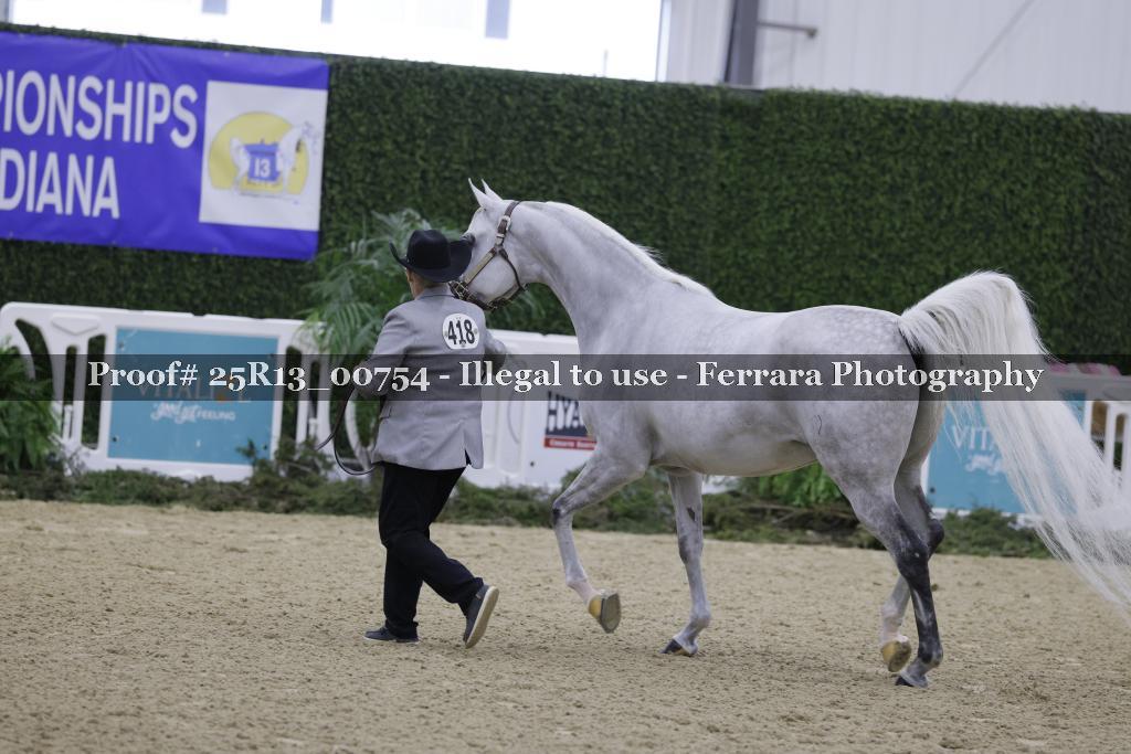 Proof 25R13_00754