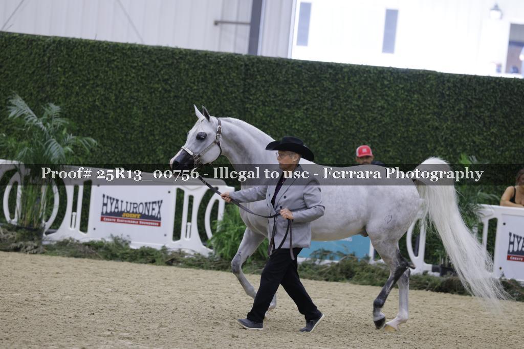 Proof 25R13_00756