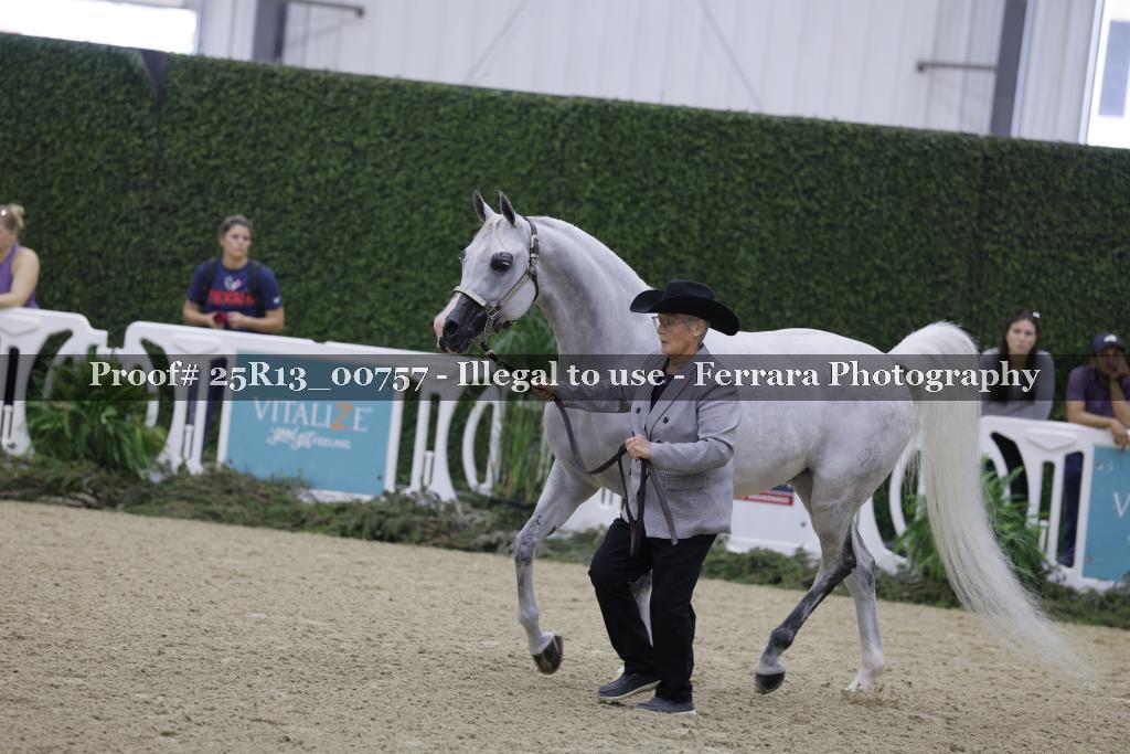 Proof 25R13_00757