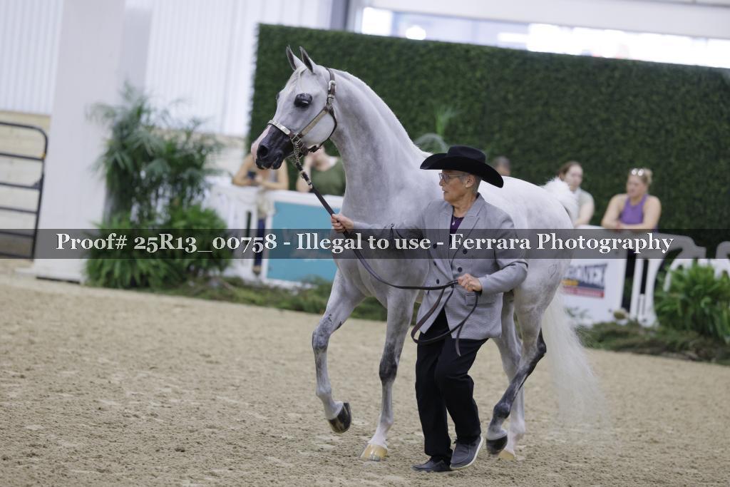Proof 25R13_00758