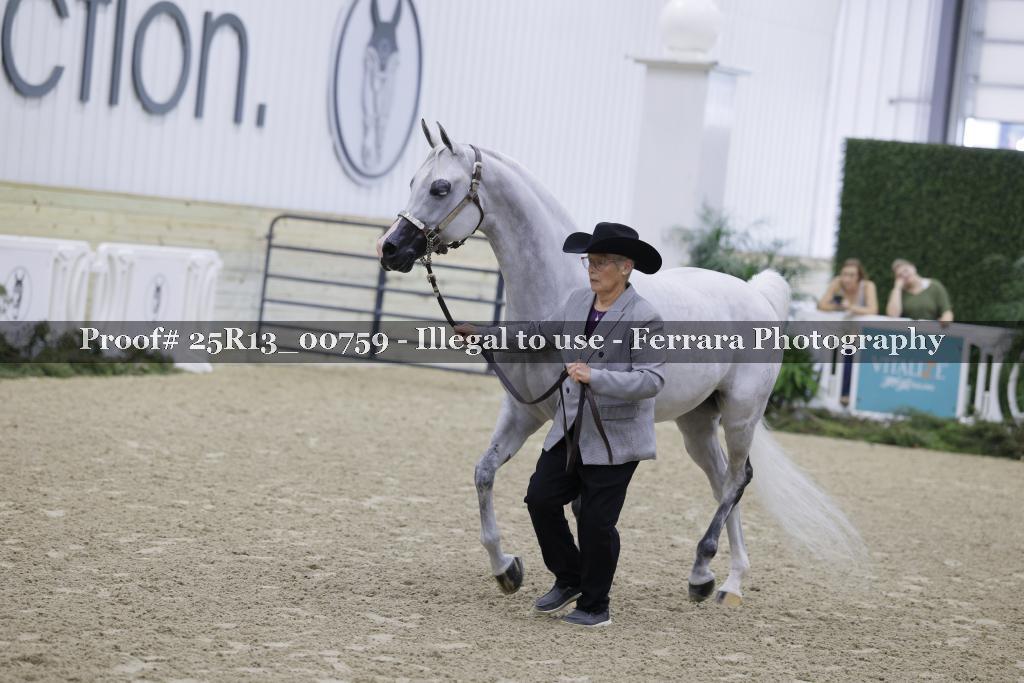 Proof 25R13_00759