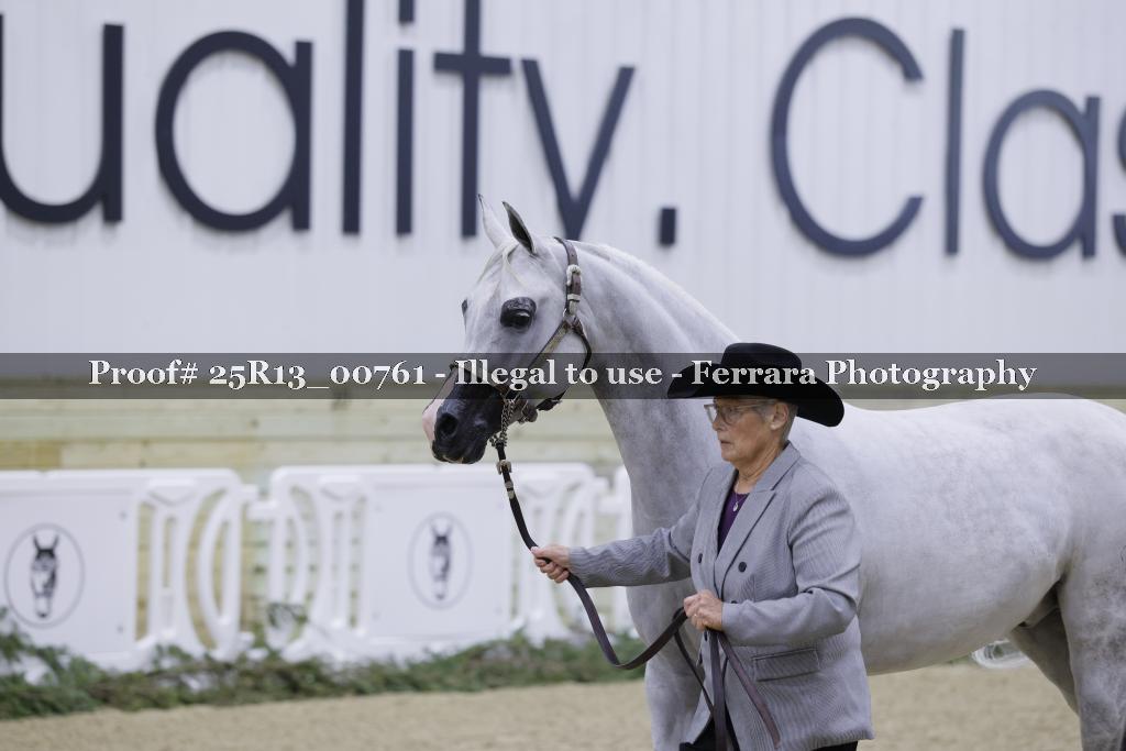 Proof 25R13_00761