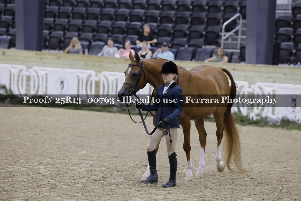 Proof 25R13_00763