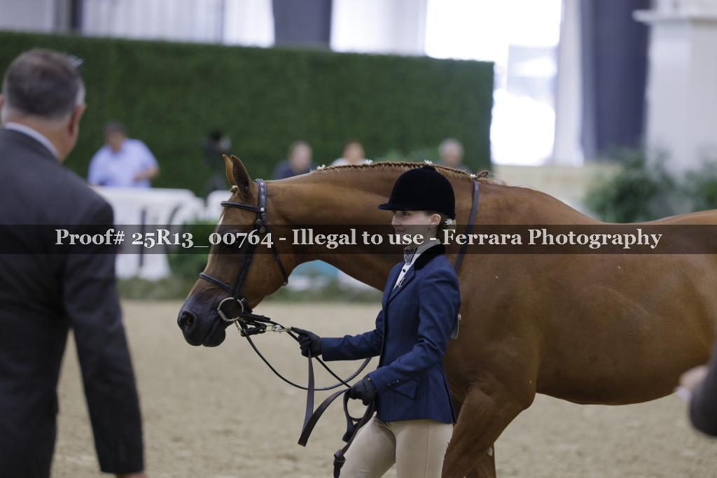 Proof 25R13_00764