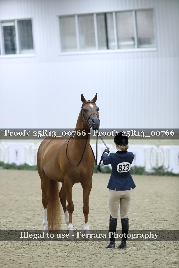 Proof 25R13_00766