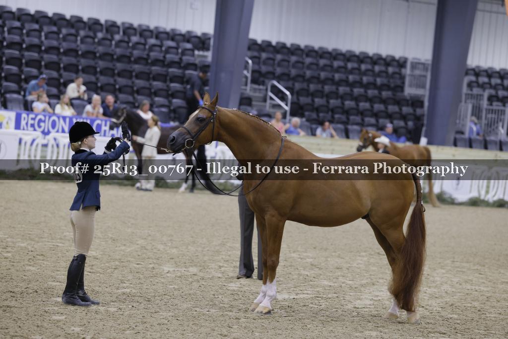 Proof 25R13_00767