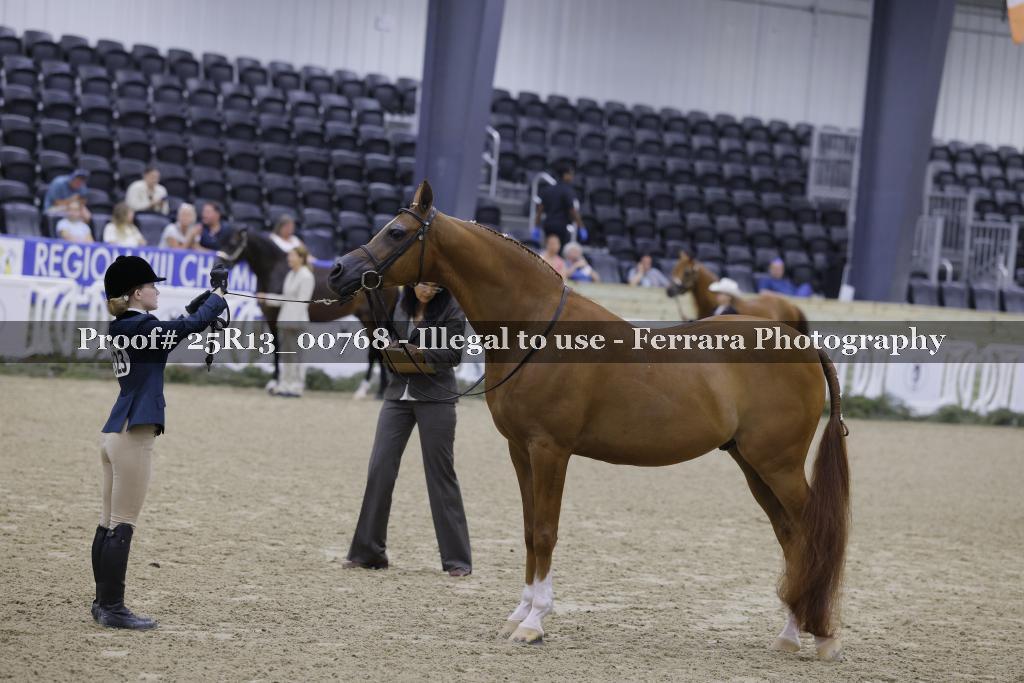 Proof 25R13_00768