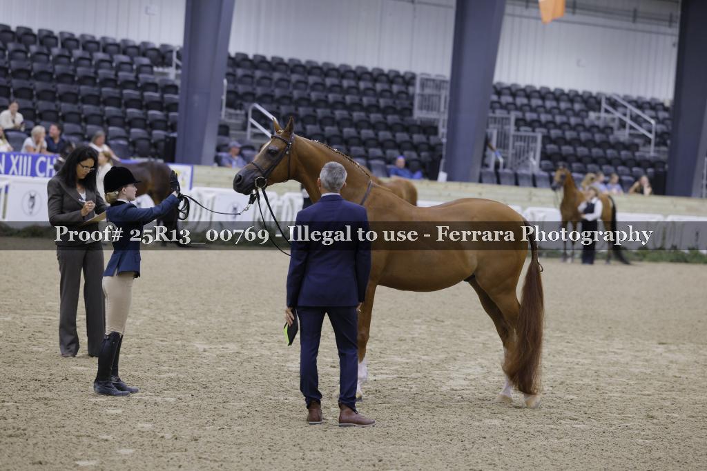 Proof 25R13_00769
