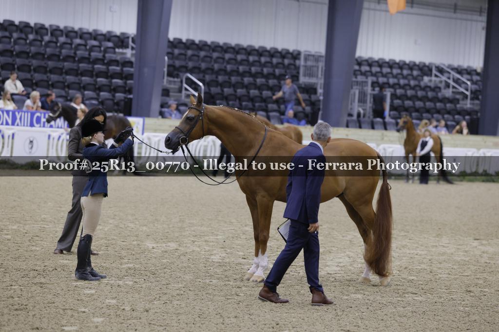 Proof 25R13_00770