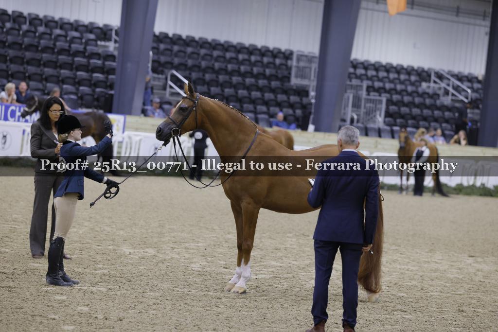 Proof 25R13_00771