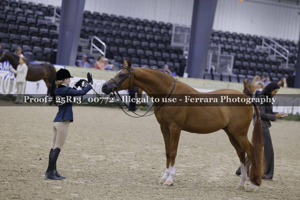Proof 25R13_00772