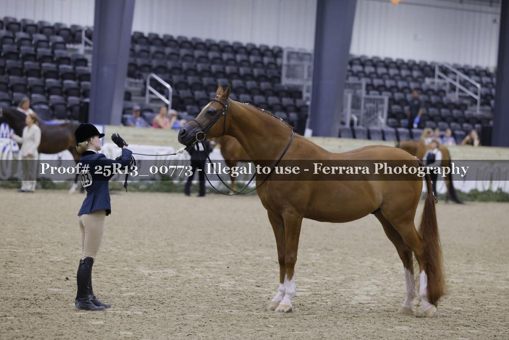 Proof 25R13_00773