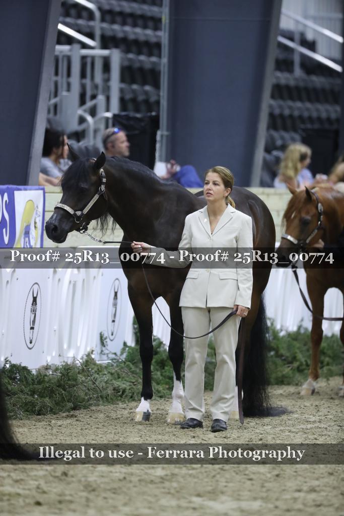 Proof 25R13_00774