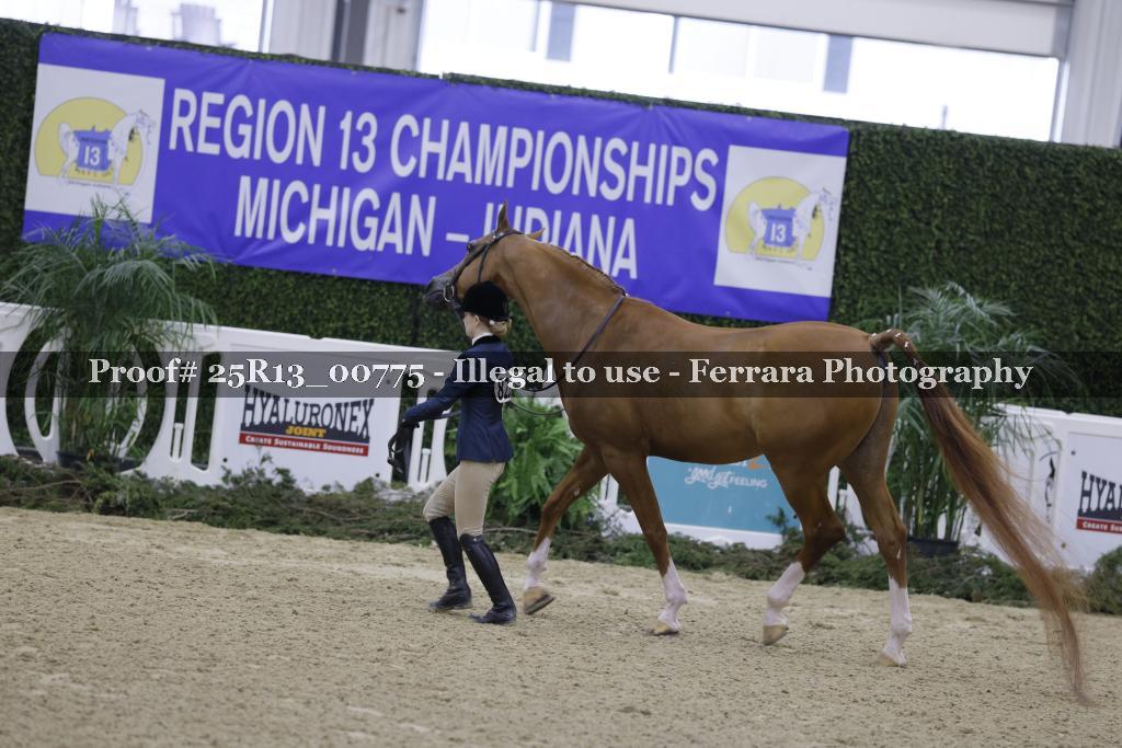 Proof 25R13_00775