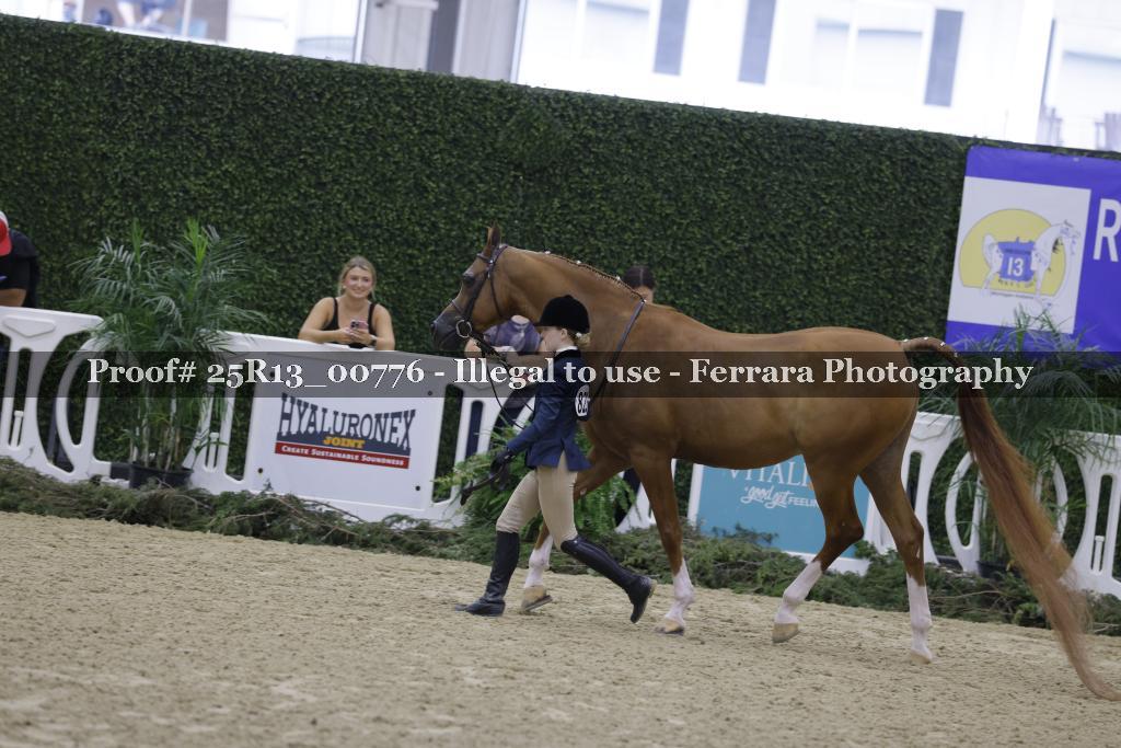 Proof 25R13_00776