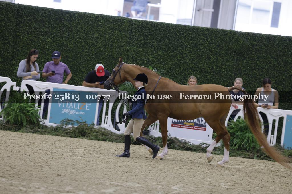 Proof 25R13_00777