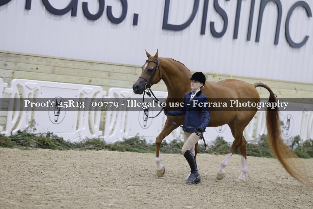 Proof 25R13_00779