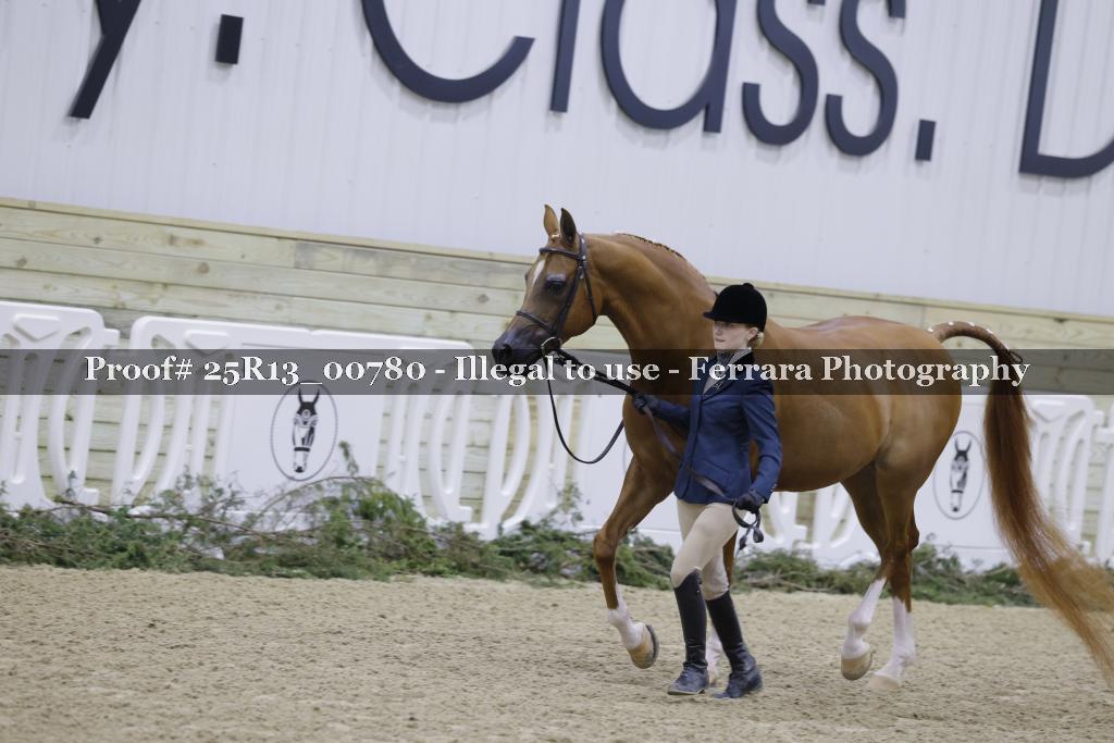 Proof 25R13_00780
