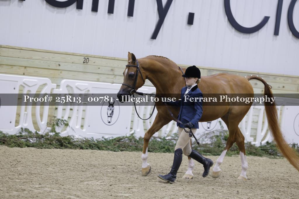 Proof 25R13_00781