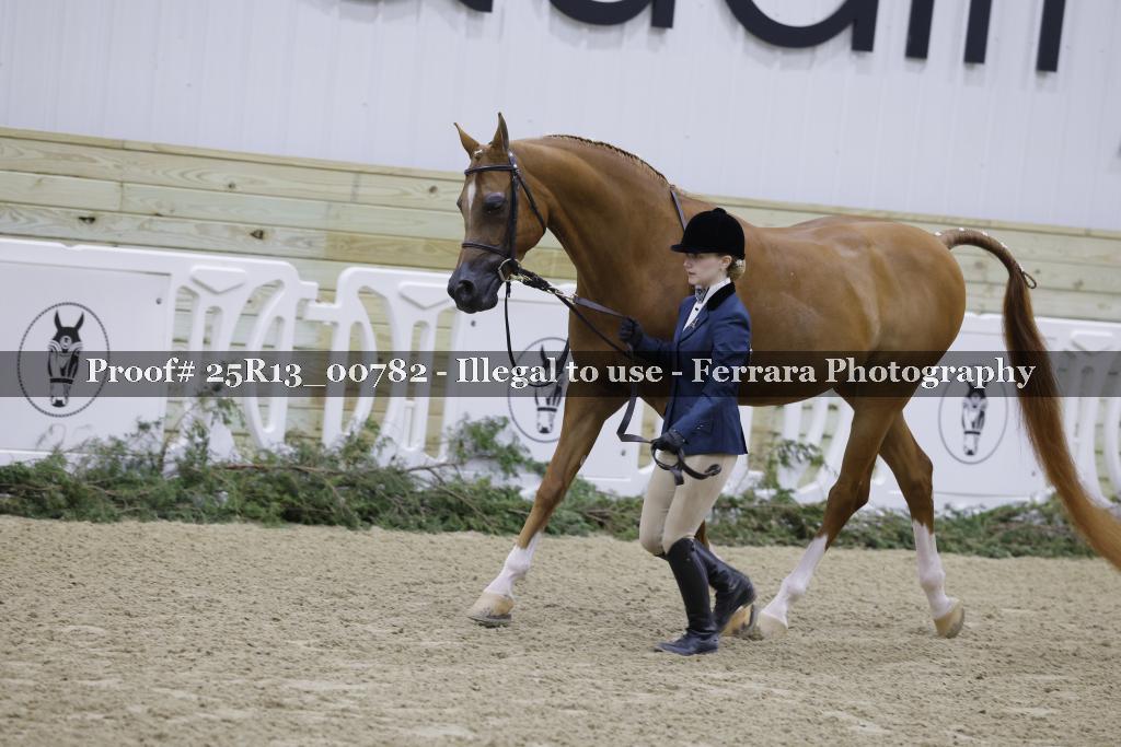 Proof 25R13_00782