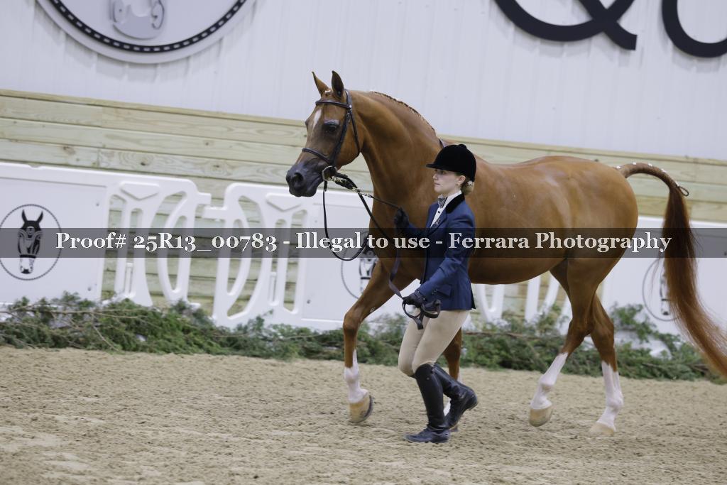 Proof 25R13_00783