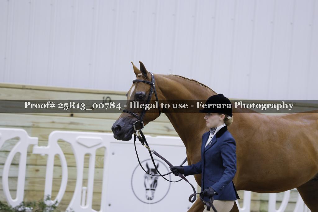 Proof 25R13_00784