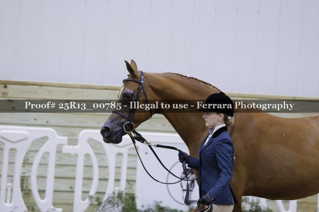 Proof 25R13_00785