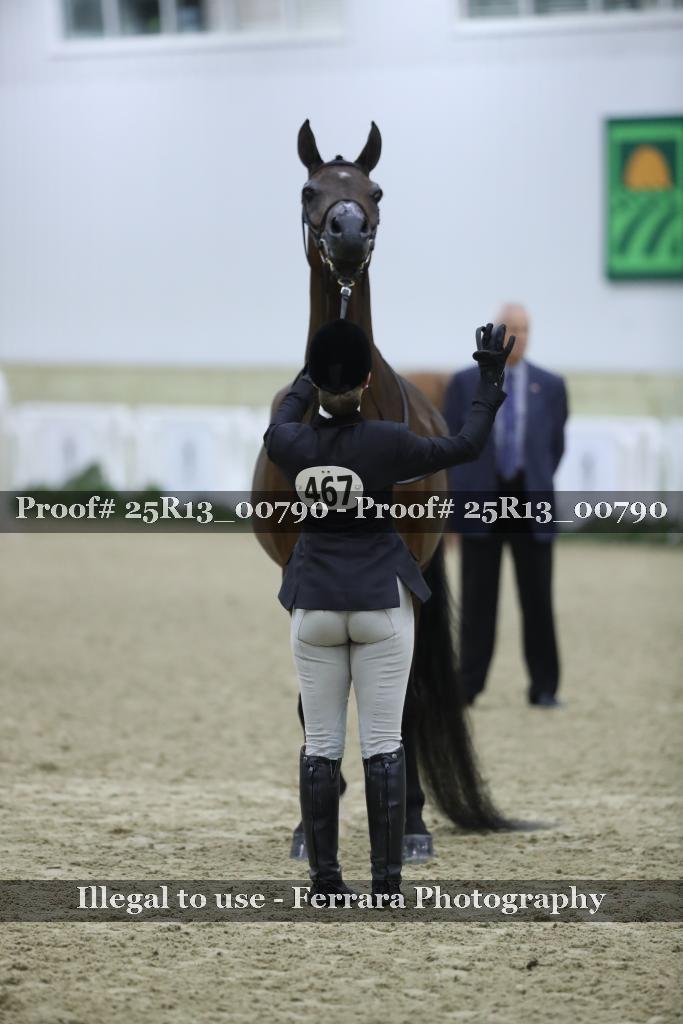 Proof 25R13_00790
